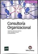 consultoria Consultoría Organizacional