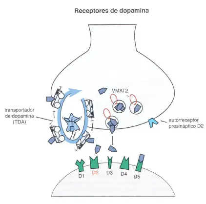 dopa3 Psicosis y esquizofrenia