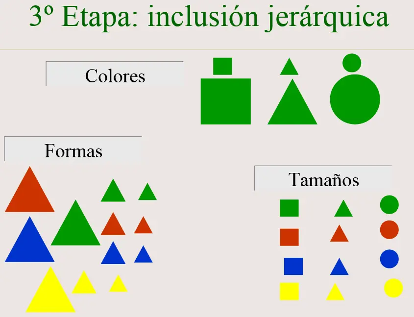inclusion jerarquica EL DESARROLLO INTELECTUAL DURANTE LA INFANCIA. LAS OPERACIONES CONCRETAS