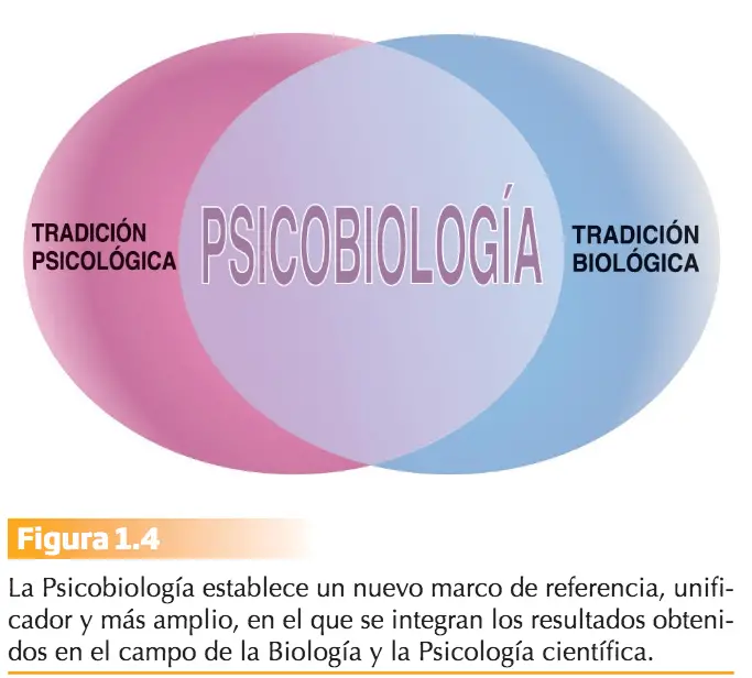 psicobi5 La Psicobiología